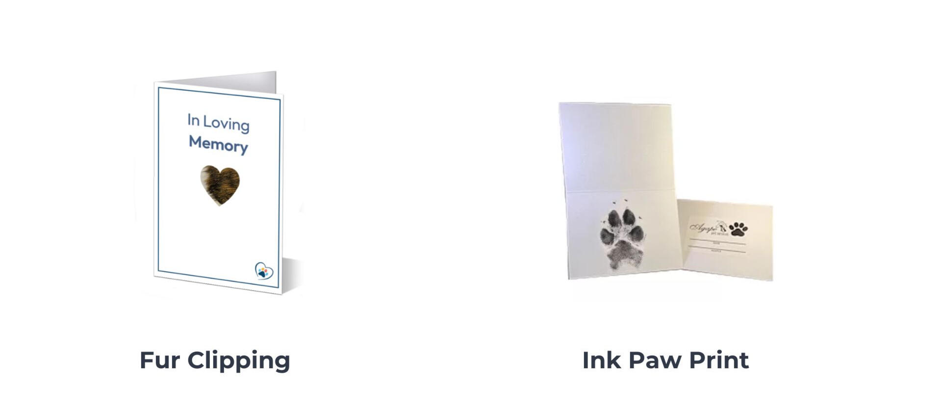 clay paw print clay paw print