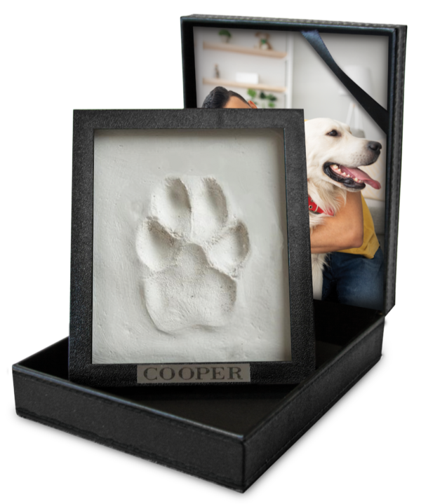 clay paw print